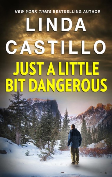 Just a Little Bit Dangerous by Linda Castillo