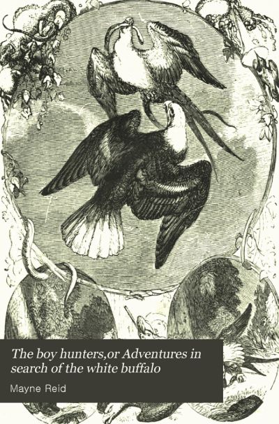 The Hunters' Feast: Conversations Around the Camp Fire by Mayne Reid