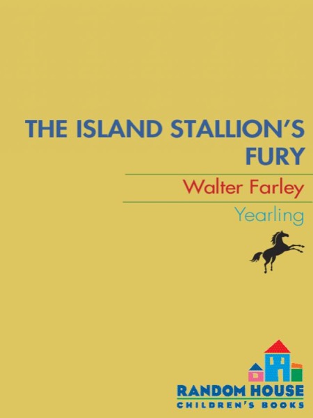 The Island Stallion's Fury by Walter Farley