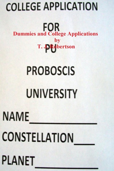 Dummies and College Applications by T. J. Robertson