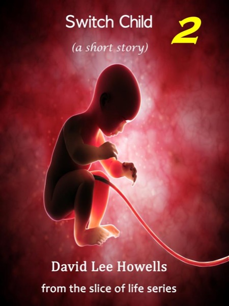 Switch Child 2 by David Howells