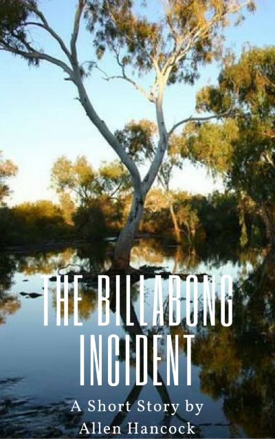 The Billabong Incident by Allen Hancock