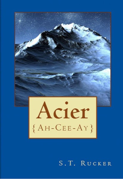 Acier by S.T. Rucker