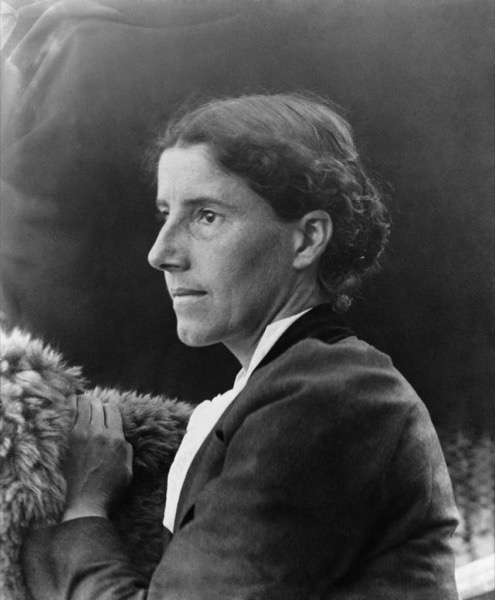 The Crux: A Novel by Charlotte Perkins Gilman