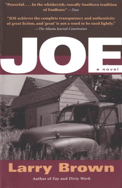 Joe by Larry Brown