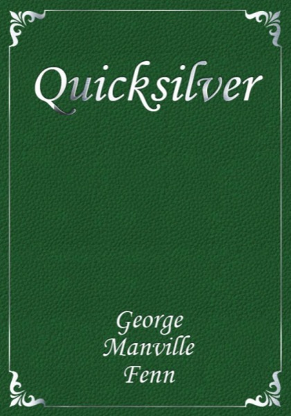 Quicksilver: The Boy With No Skid to His Wheel by George Manville Fenn