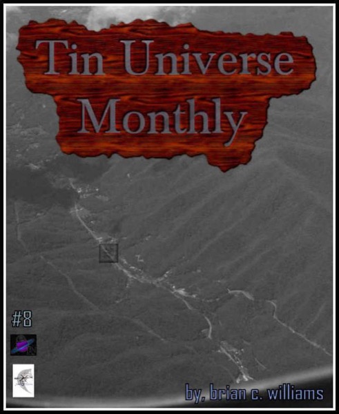 Tin Universe Monthly #8 by Brian C. Williams