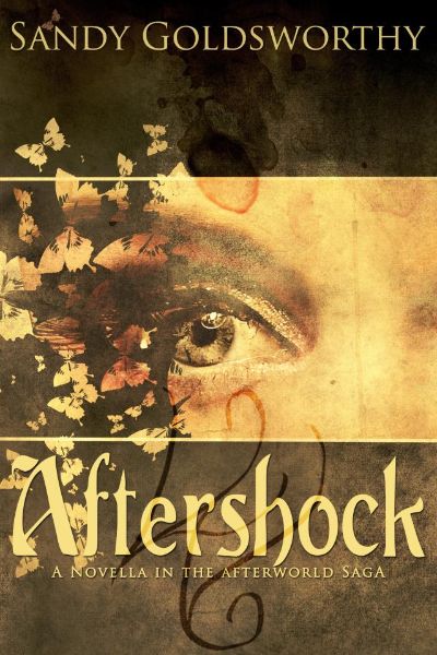 Aftershock by Sandy Goldsworthy