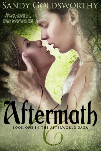 Aftermath by Sandy Goldsworthy