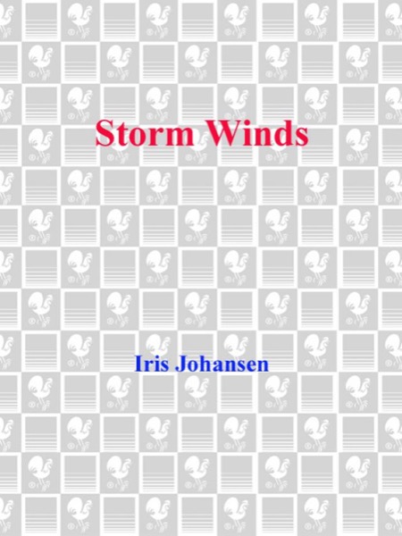 Storm Winds by Iris Johansen