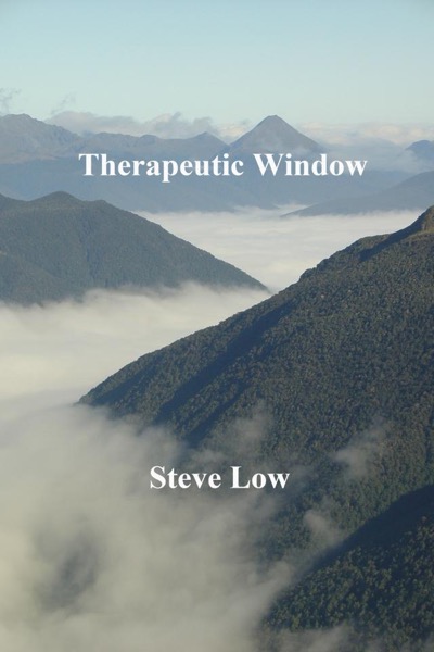 Therapeutic Window by Steve Low