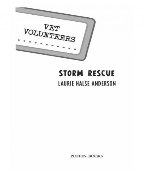 Storm Rescue by Laurie Halse Anderson