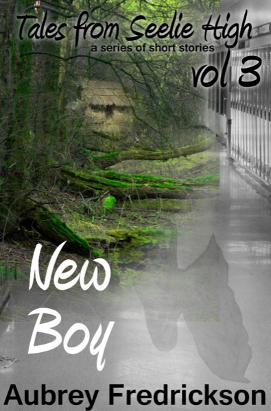 New Boy by Aubrey Fredrickson