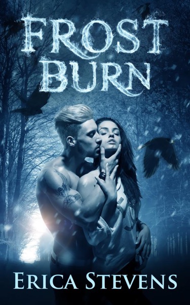 Frost Burn (The Fire and Ice Series, Book 1) by Erica Stevens