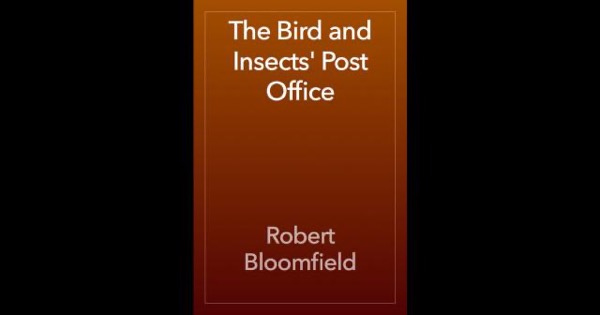 Bird and Insects' Post Office by Norman Duncan