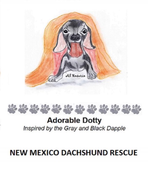 Adorable Dotty by New Mexico Dachshund Rescue