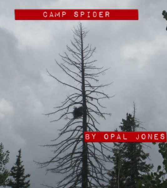 Camp Spider by Opal Jones