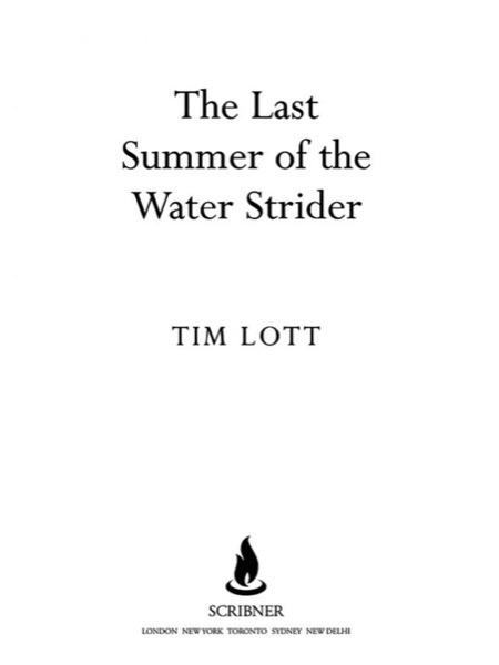 The Last Summer of the Water Strider by Tim Lott