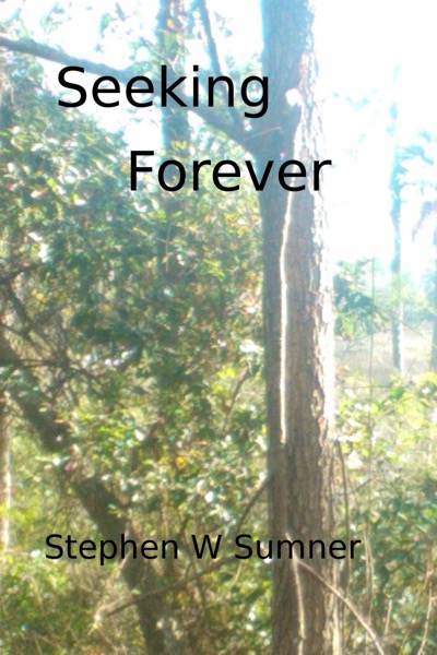 Seeking Forever by Stephen W. Sumner