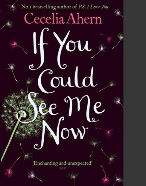 If You Could See Me Now by Cecelia Ahern