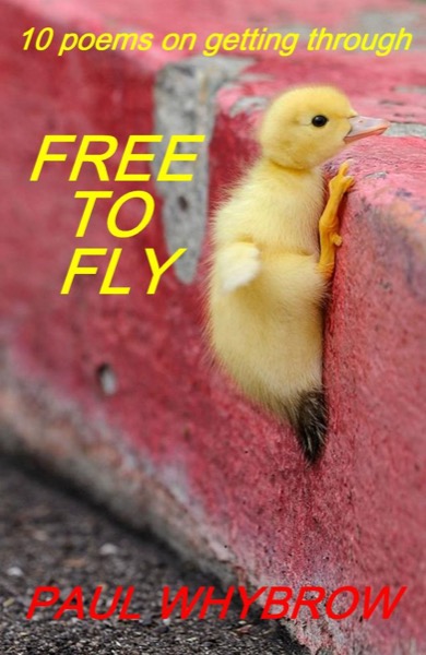 Free To Fly - 10 Poems on Getting Through by Paul Whybrow