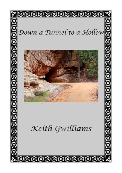 Down a Tunnel to a Hollow (Illustrated) by Keith Gwilliams