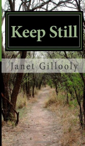 Keep Still by Janet Gillooly