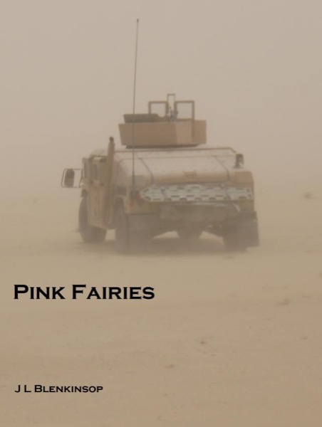 Pink Fairies by J L Blenkinsop