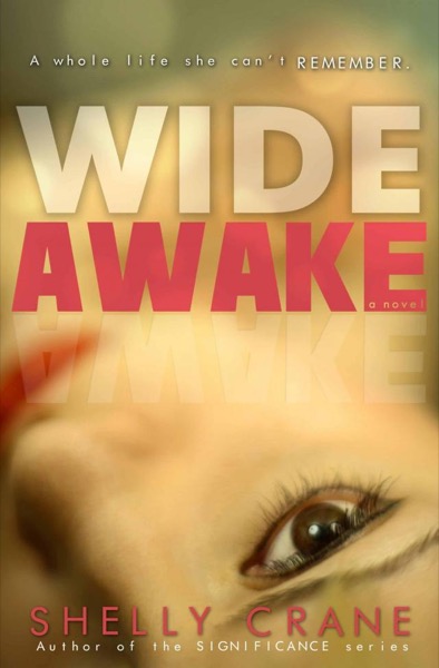 Wide Awake by David Levithan