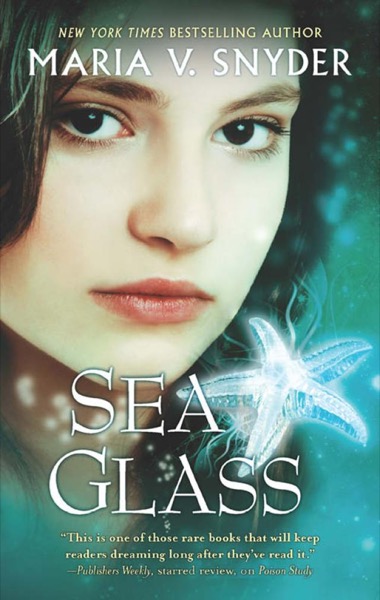 Sea Glass by Anita Shreve