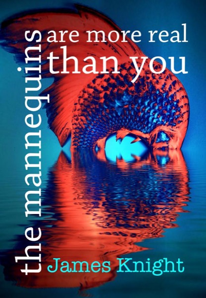 The Mannequins Are More Real Than You by James Knight