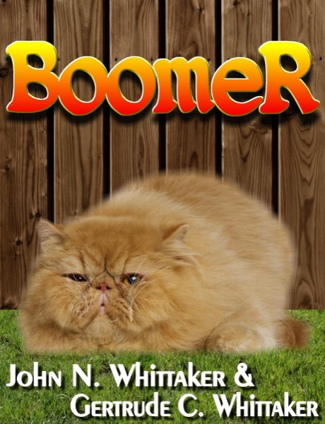 Boomer by John N Whittaker