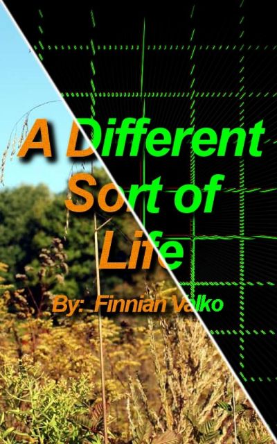 A Different Sort of Life by Finnian Valko