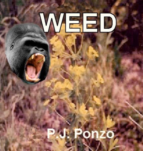 Weed by Peter Ponzo