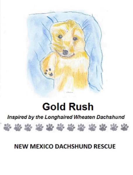 Gold Rush by New Mexico Dachshund Rescue