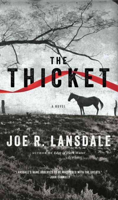 The Thicket by Joe R. Lansdale