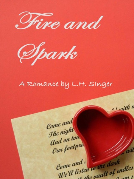 Fire and Spark by Laura Singer