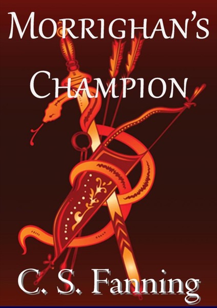 Morrighan's Champion by C.S. Fanning