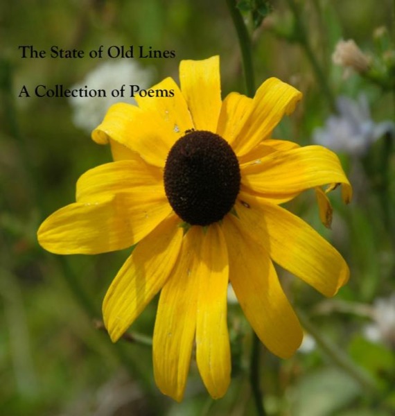 The State of Old Lines by Conrad Baines Talbot