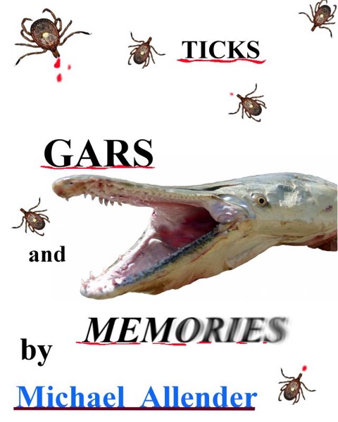 Ticks Gars and Memories by Michael Allender