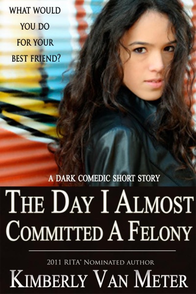 The Day I Almost Committed A Felony by Kimberly Van Meter