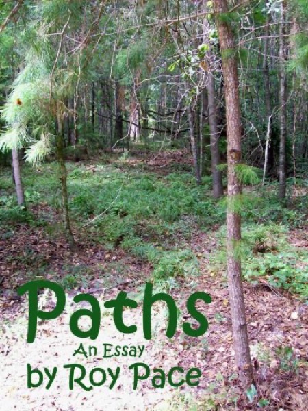 Paths by Roy Pace