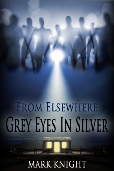 Grey Eyes In Silver by Mark Knight