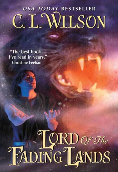 Lord of the Fading Lands by C. L. Wilson