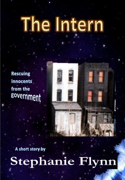 The Intern by Stephanie Flynn