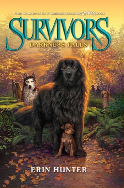 Darkness Falls by Erin Hunter