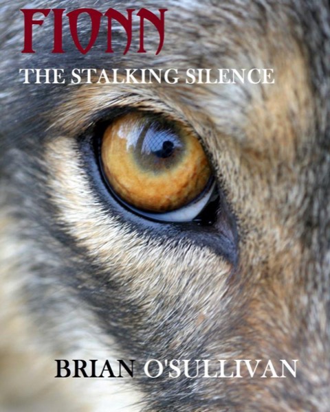 Fionn: The Stalking Silence by Brian O'Sullivan