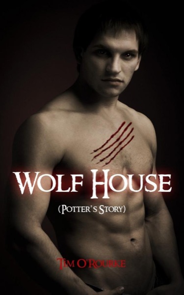 Wolf House - Potters Story by Tim ORourke