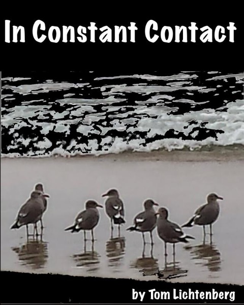 In Constant Contact by Tom Lichtenberg