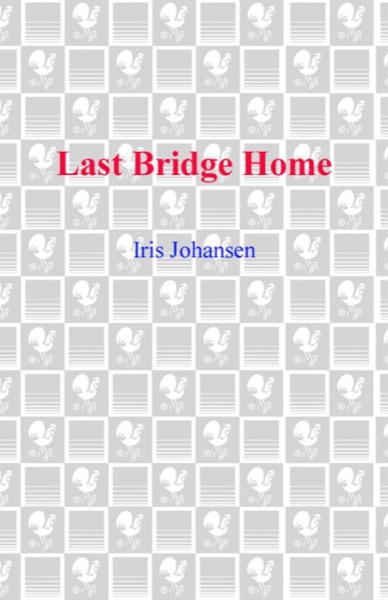 Last Bridge Home by Iris Johansen